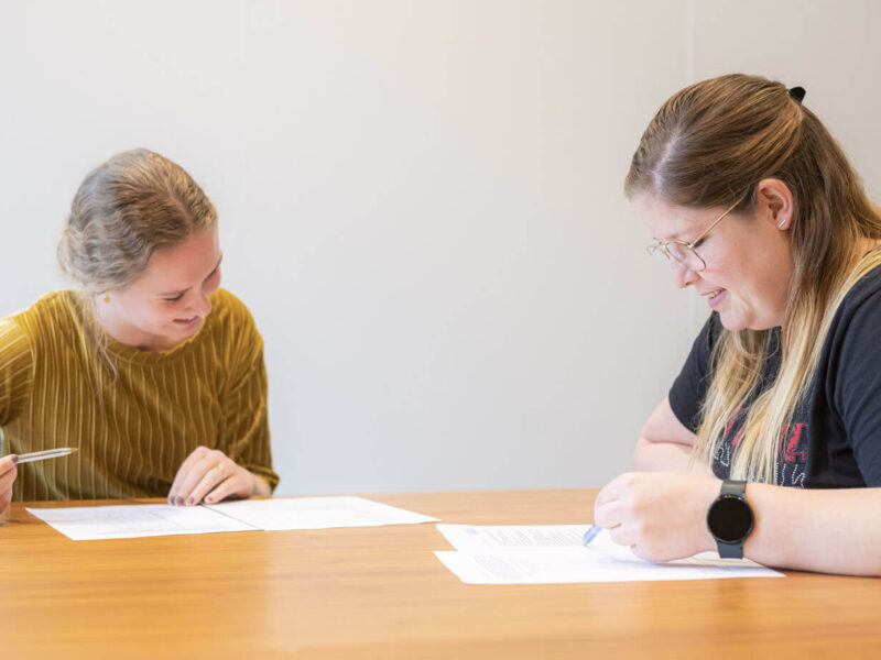 Contractvormen detachering